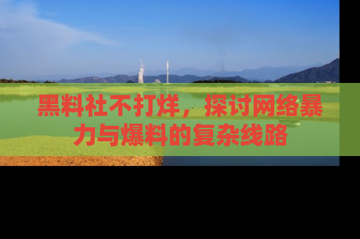 黑料社不打烊，探讨网络暴力与爆料的复杂线路