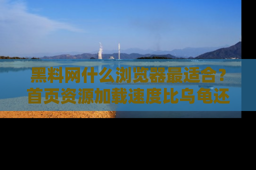 黑料网什么浏览器最适合？首页资源加载速度比乌龟还慢的体验真心吐槽！
