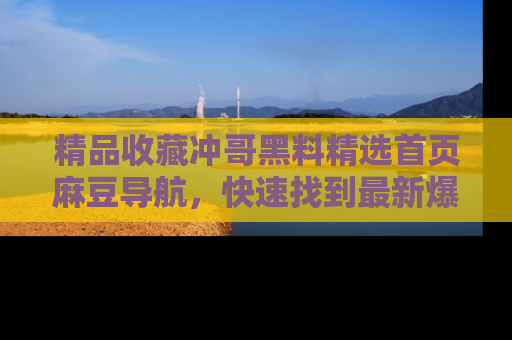 精品收藏冲哥黑料精选首页麻豆导航，快速找到最新爆料