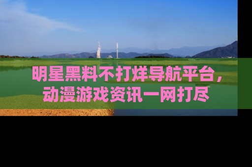 明星黑料不打烊导航平台，动漫游戏资讯一网打尽