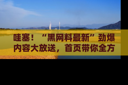 哇塞！“黑网料最新”劲爆内容大放送，首页带你全方位了解哦，小可爱们