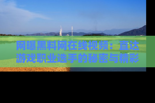 网曝黑料网在线视频：直达游戏职业选手的秘密与精彩动漫片段！