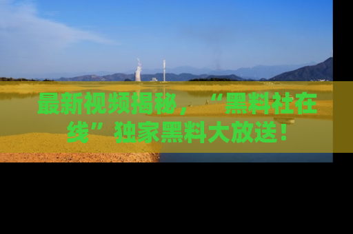 最新视频揭秘,“黑料社在线”独家黑料大放送!